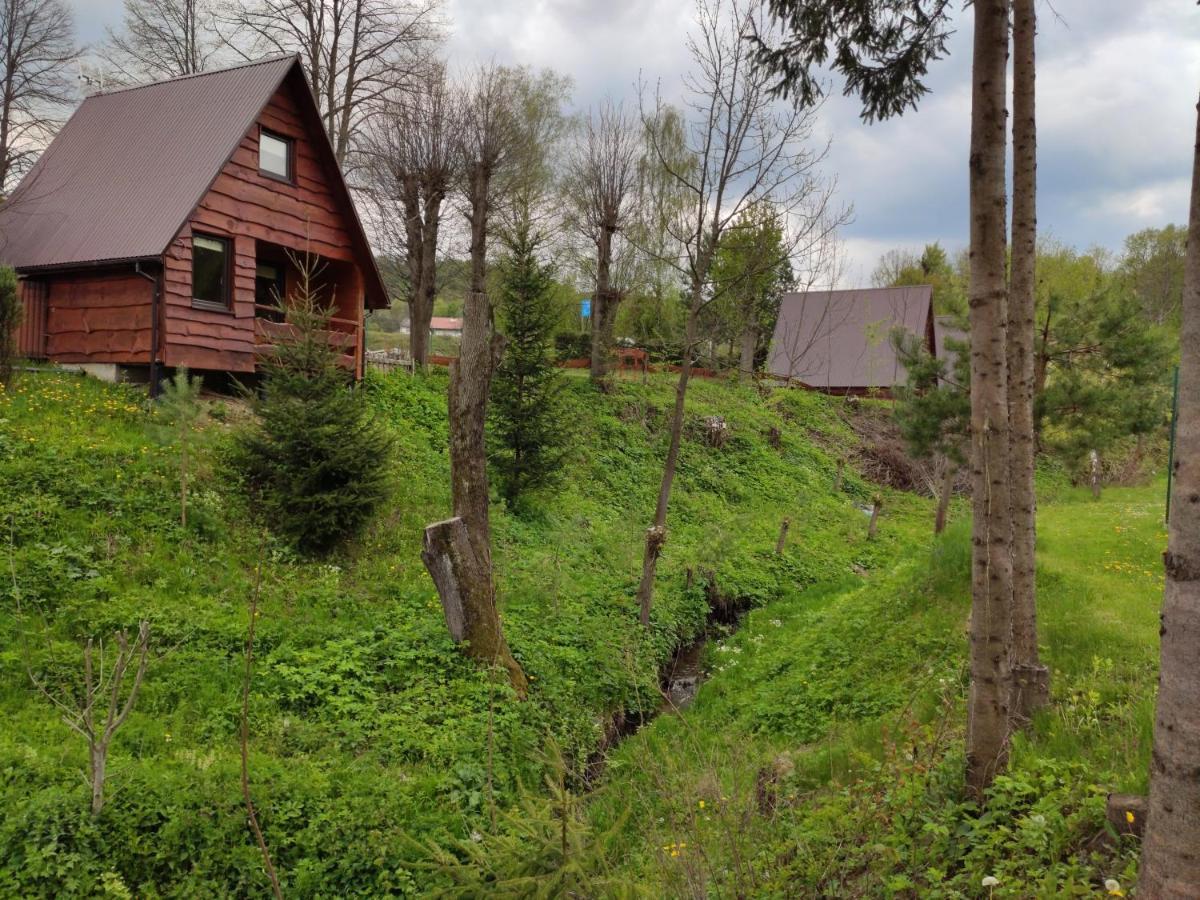 Za Potokiem Villa Solina  Ngoại thất bức ảnh