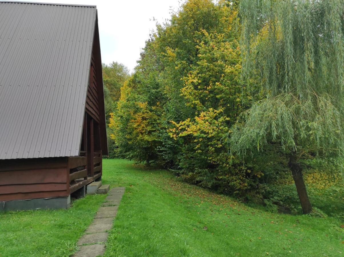 Za Potokiem Villa Solina  Ngoại thất bức ảnh
